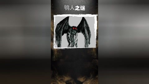 推特 fq 在线视频海报