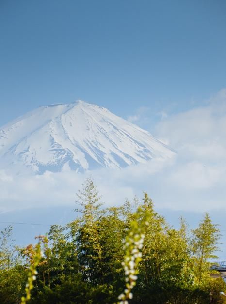 同人动漫ss海报
