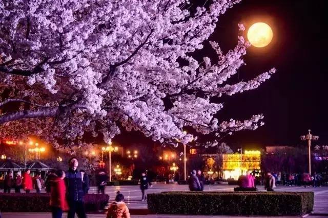 国产午夜精品在线观看 国产我很乐意为你提供帮助海报