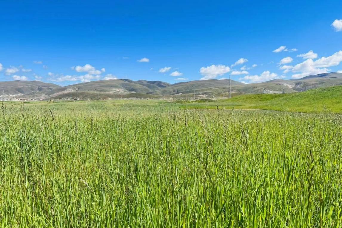 无限臀山丝袜海报