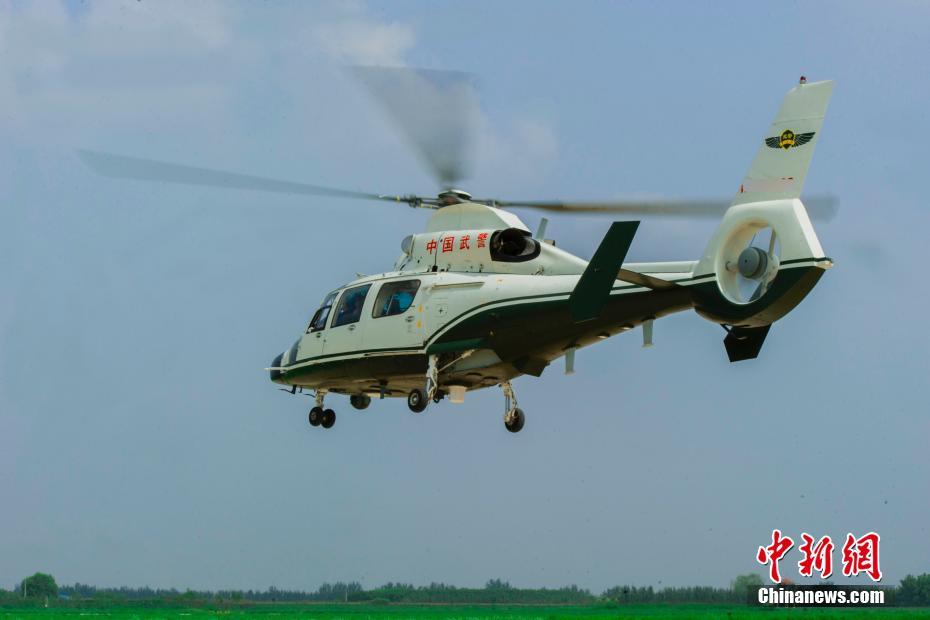 。同人动漫 同人动漫在社群内分享发布）海报