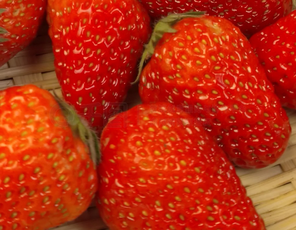 51段视频 需征得同意再处理或发布