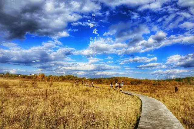 暗黑之沙里番海报