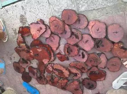 天使行动3 天使行动动作场面偏向实战化