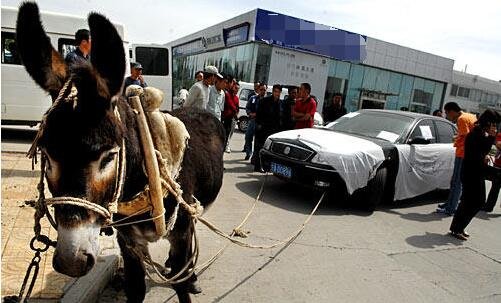 小马拉着大车监控摄 牧场或农场的全天候监控海报