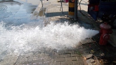 yoyo在线观看海报