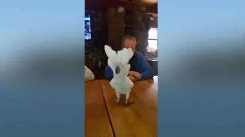 唐舞桐3d同人动漫海报