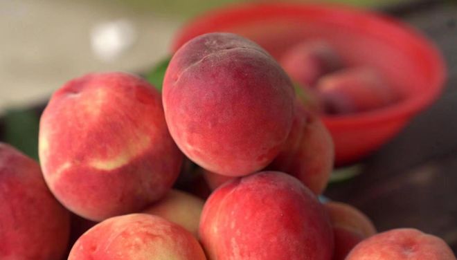 小牛视频 小牛视频抖音等平台