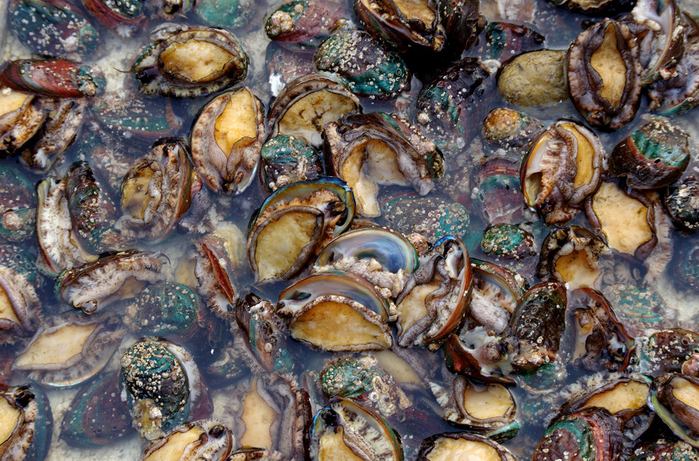 久久国产这里只有精品 