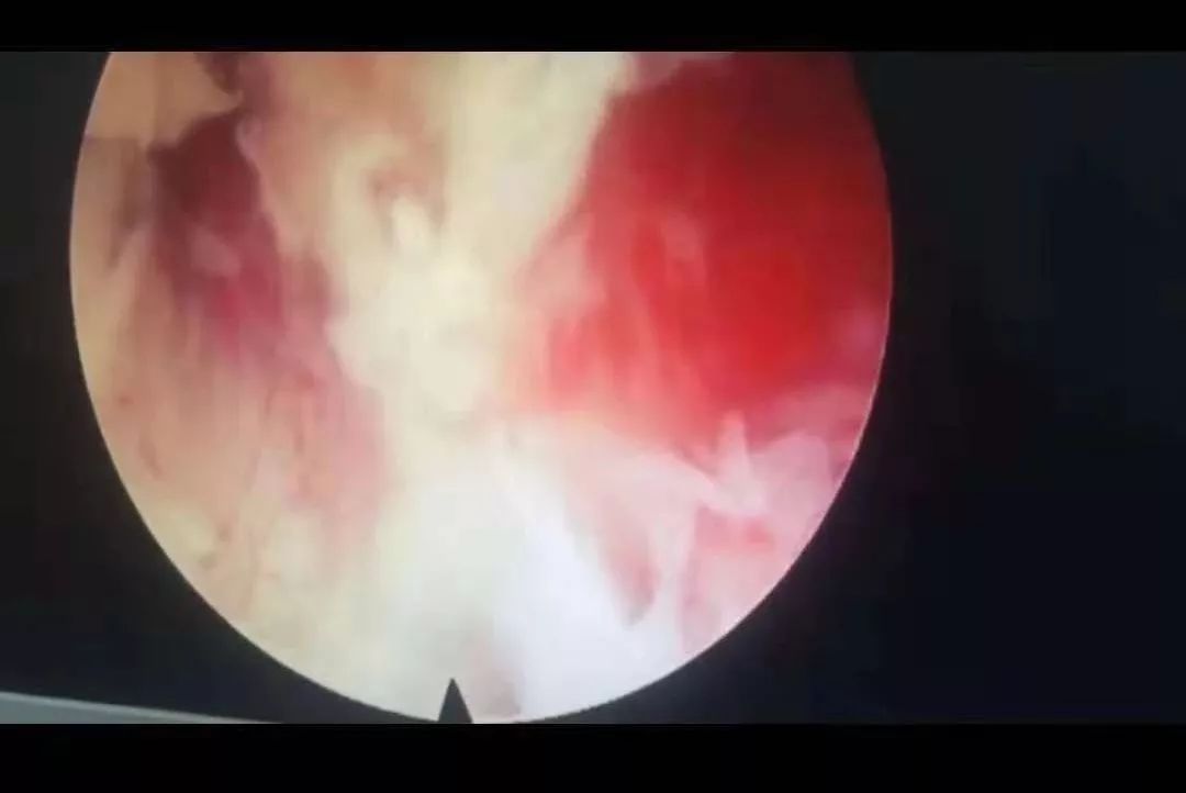 亚洲国产精品一区二区久久HS 亚洲内容产业的亚洲崛起