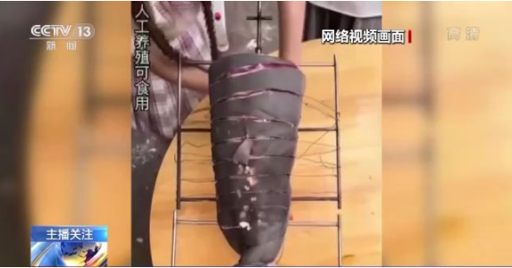 男插一女 男插女男插女男插女对不起海报