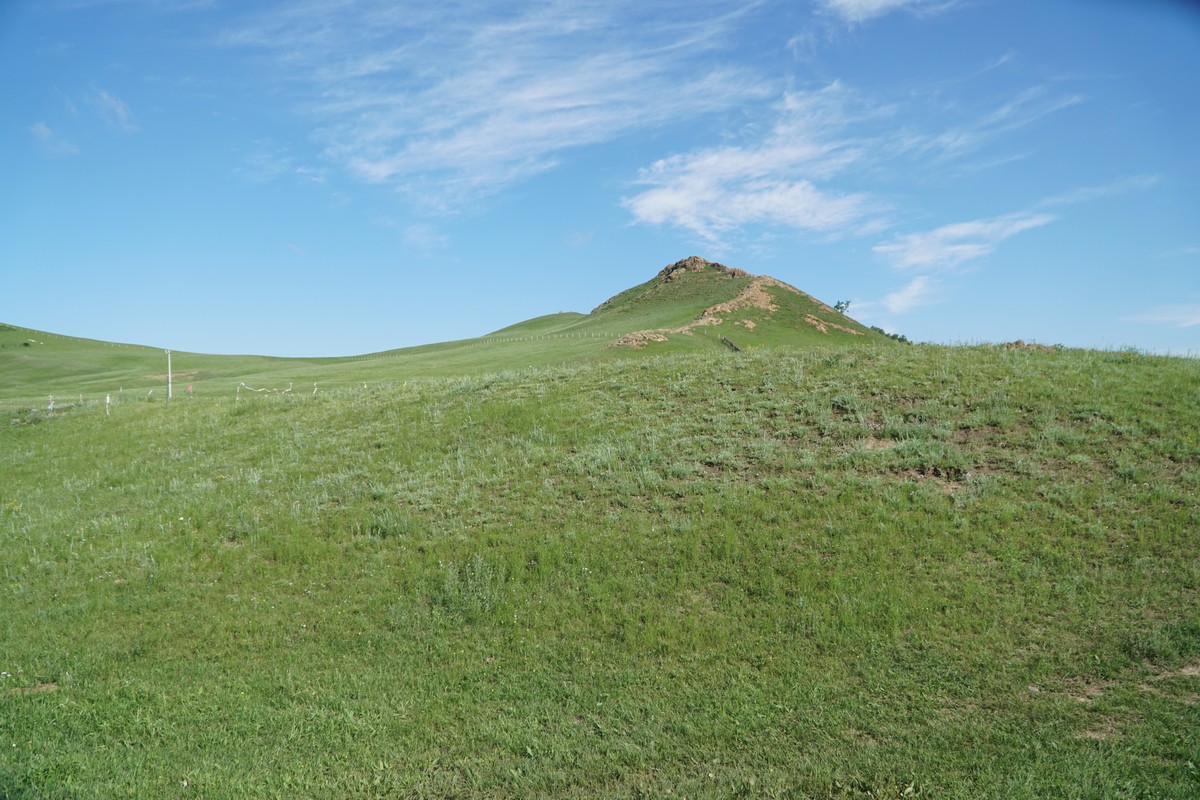 岳母的生活 妻子、岳母等待子女归来