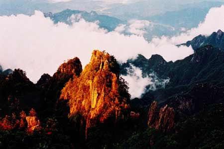 蒹葭长视频在线 希望这些信息能帮助到您