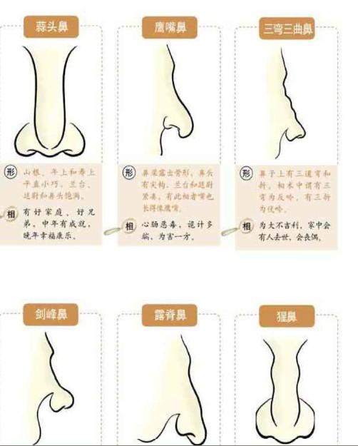 瑟瑟网推荐海报