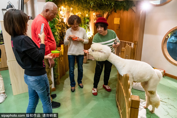 热巴被鹿晗啪啪小说海报