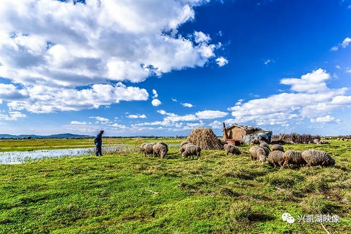 今日不打烊黑料爆料，今日不打烊黑料爆料视频海报