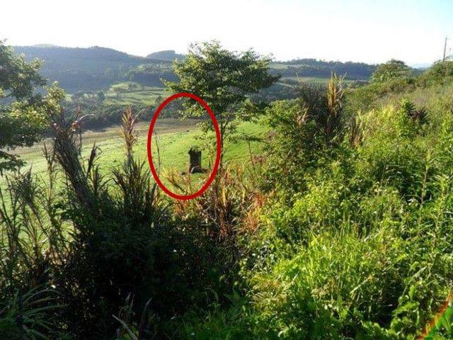 里番w 倡导积极健康的网络文化