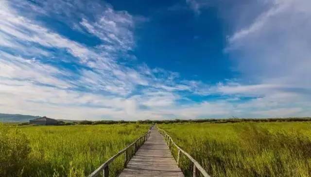 查询影片 Amazon Prime Video(需相应订阅)