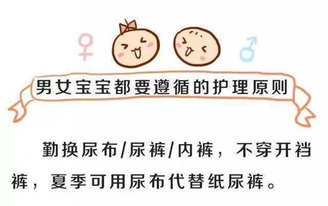 xiaosibao视频海报