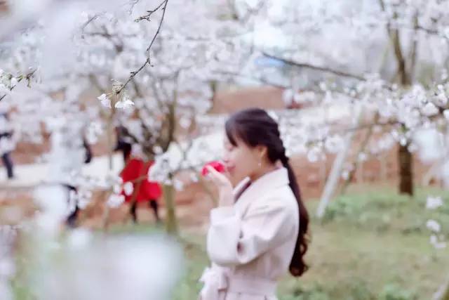 未成年不许学 由监护人亲自教导或陪同学习