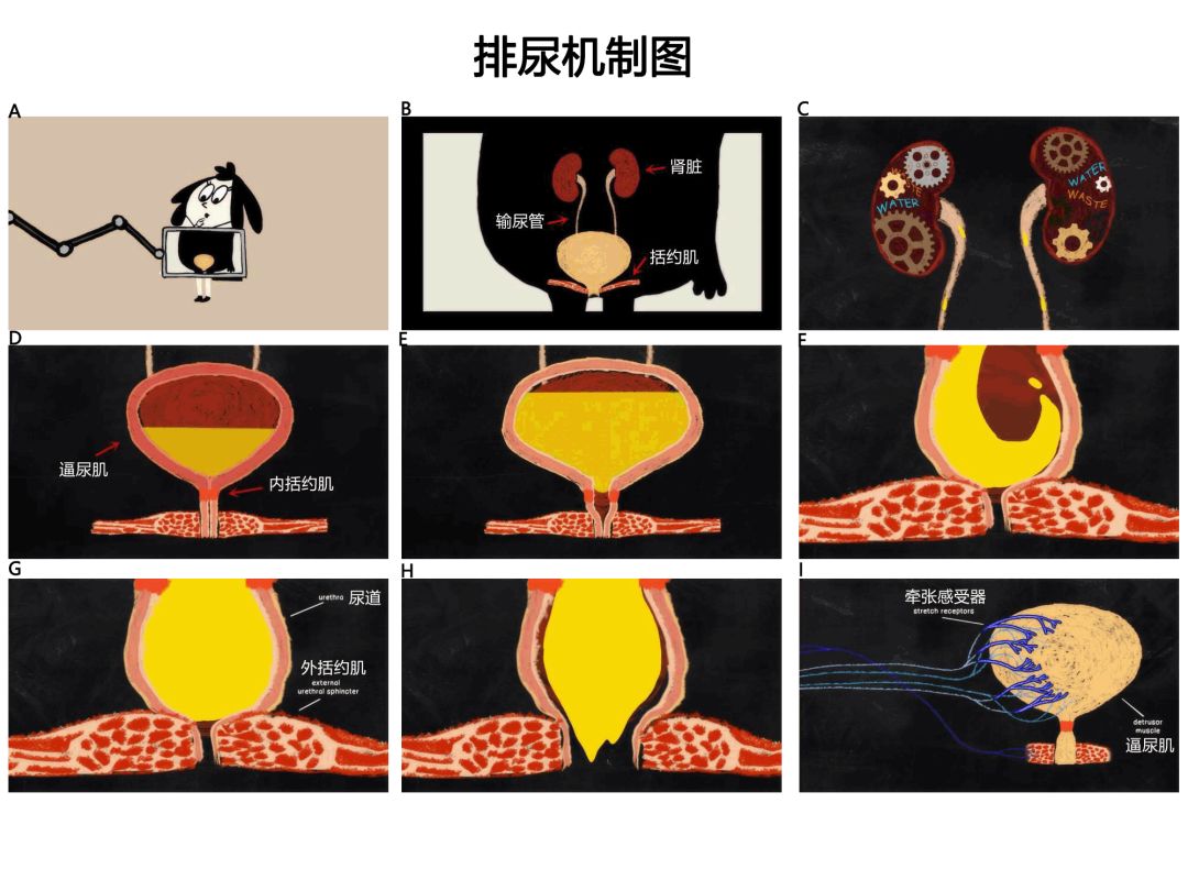 精品国产AV一区二区三区四区五区 关键还得自己多看多试