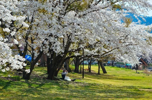 舒淇宫廷装写真 舒淇后期均属业内顶级水准海报