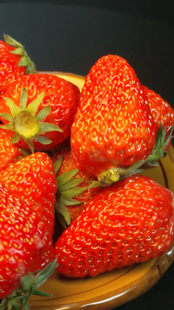 一同看彩虹小蓝2023更新日志海报