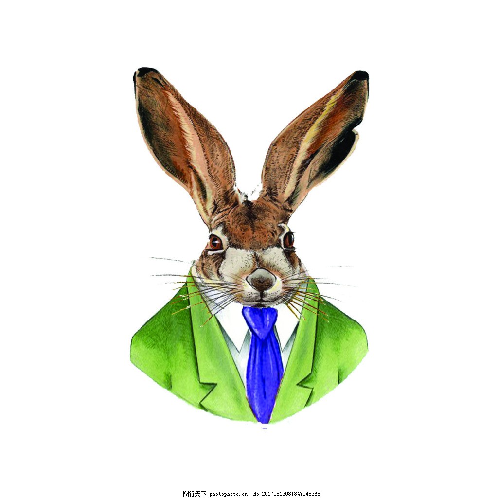 啄木鸟系列观看 Bilibili等正规视频平台海报