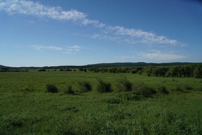 1080p在线 教学视频也逐步提升至1080p