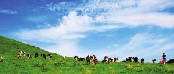 1080p在线 教学视频也逐步提升至1080p