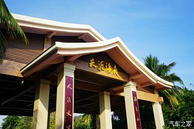 小马拉大车续集 又扫向四周的小马废墟