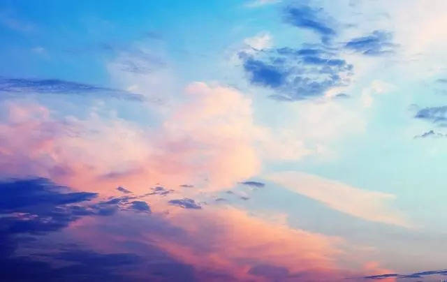 国产色无码精品视频免费 