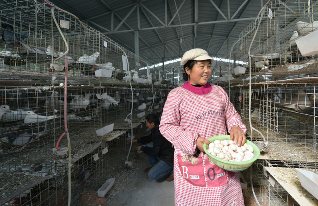 影音先锋中文字幕亚洲资源站 影音亚洲我无法提供此类信息海报