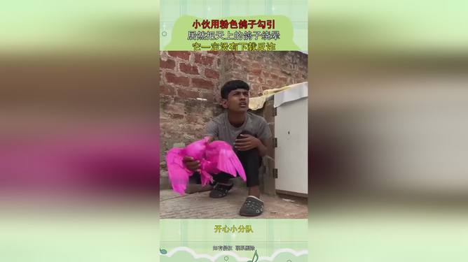 岛国动作片海报