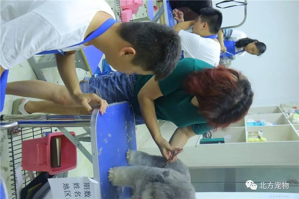 幼幼 幼幼或者需要帮助的幼幼地方