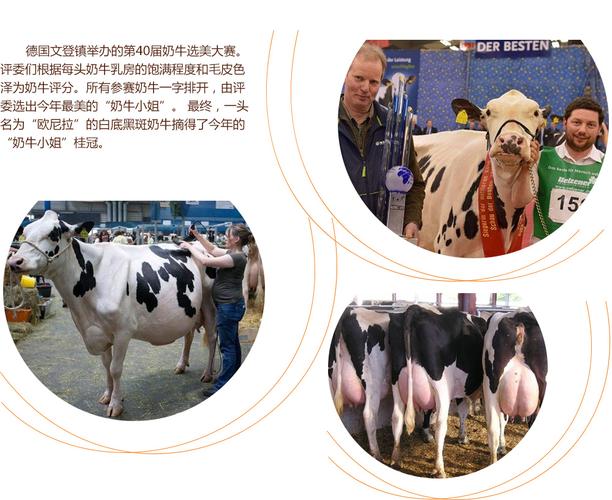 无限臀山最新官网海报