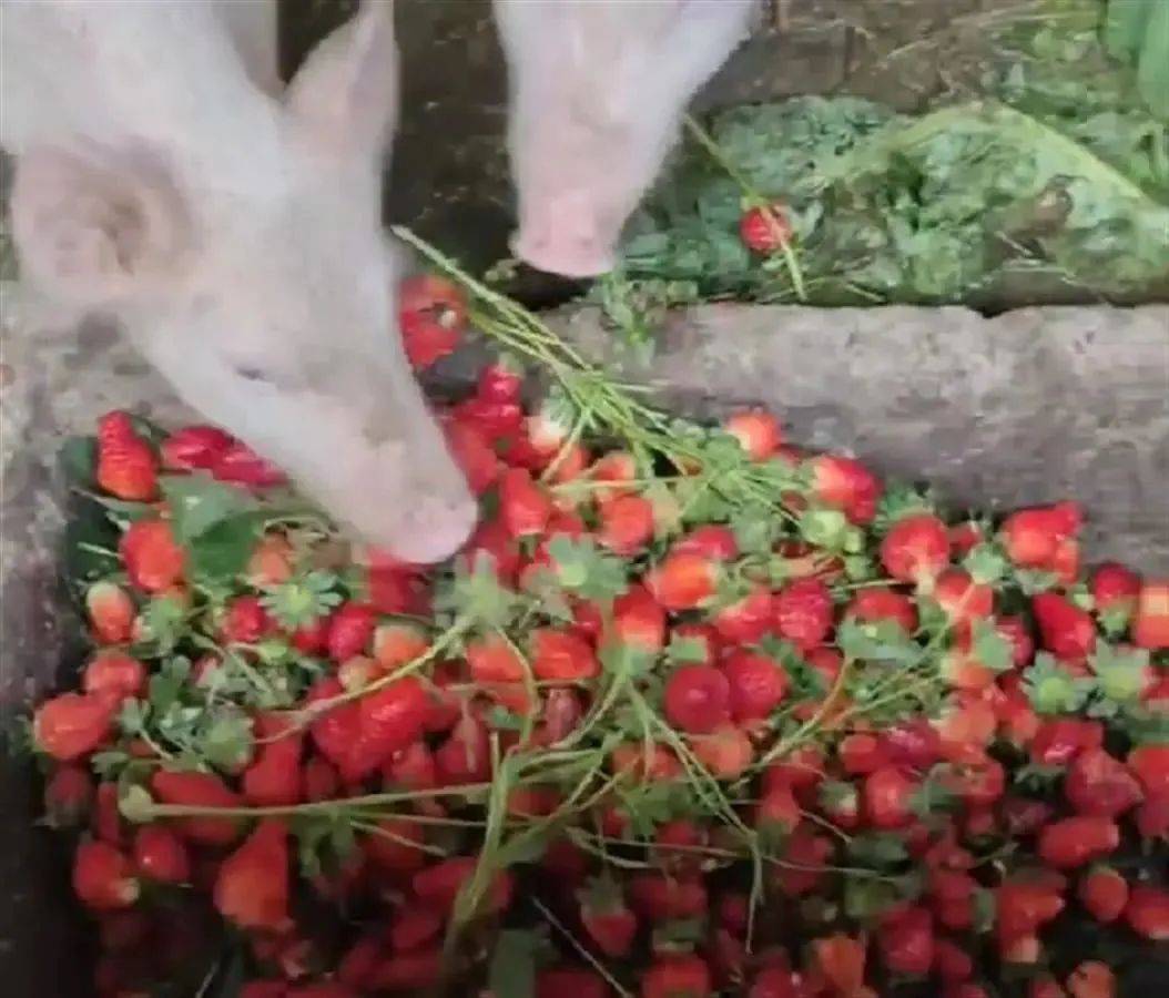 大槻响2022年作品 响年增添了情境张力海报