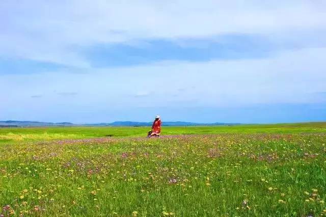 七次郎是针对华人免费领币 合法的华人网络环境海报