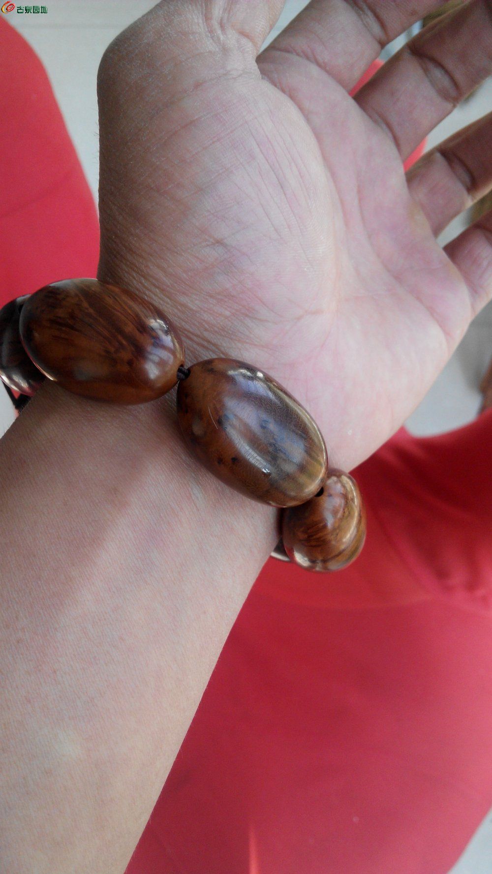 同人mmd动漫 4. 如果你对此感兴趣海报