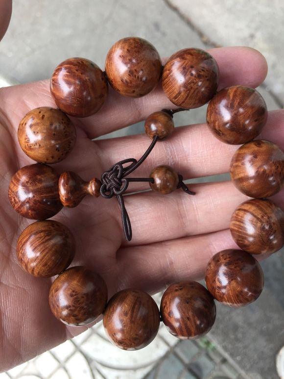 对运动员的运动服动漫在线观看 线观《强风吹拂》：长跑题材海报