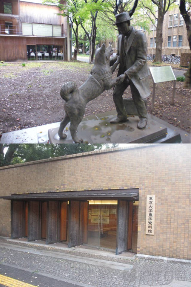 久久久久久精品免费播放海报