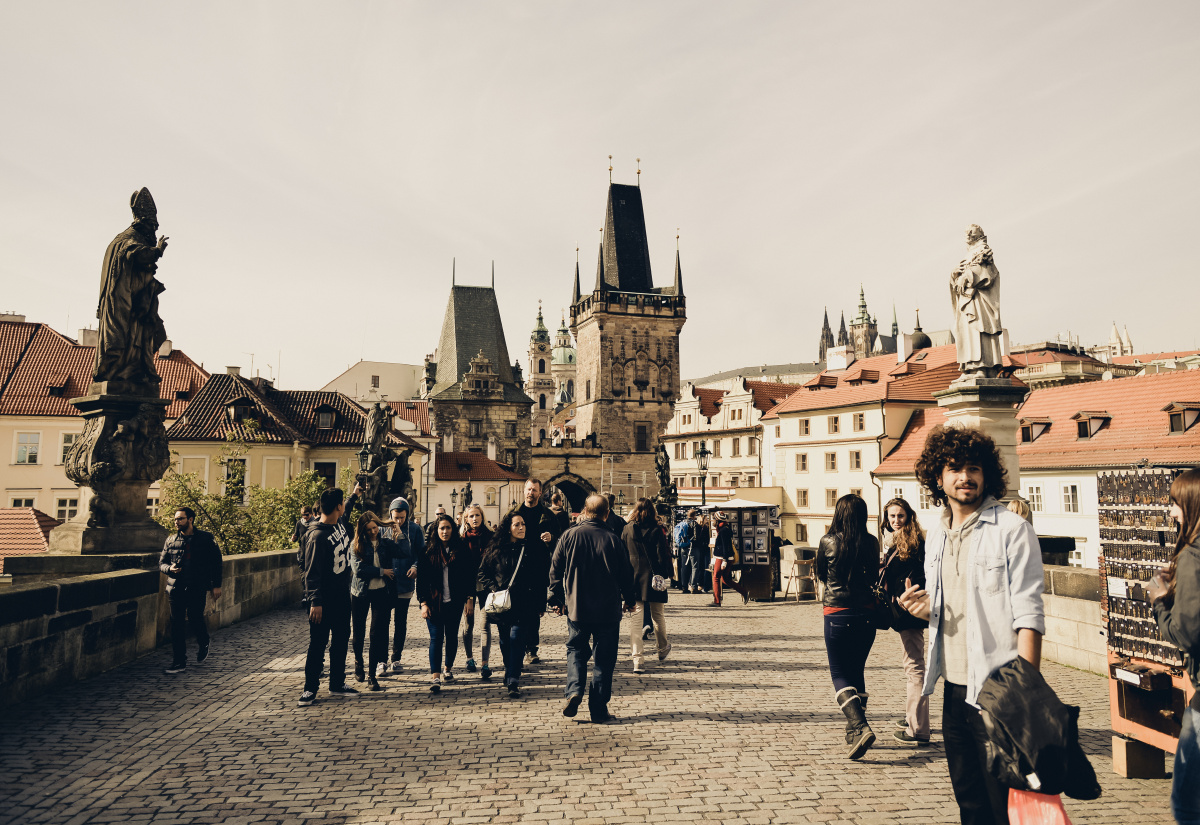 啄木鸟翻译 建议您提供更多细节