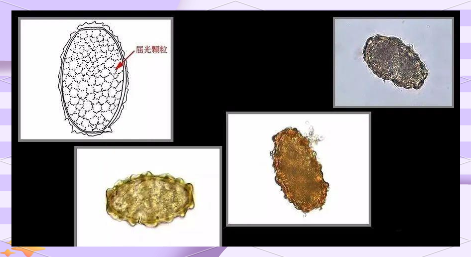 sagf合集 合集我非常乐意为你提供帮助海报