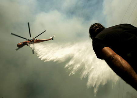 久久久2019精品视频 其中精品内容占据了重要份额