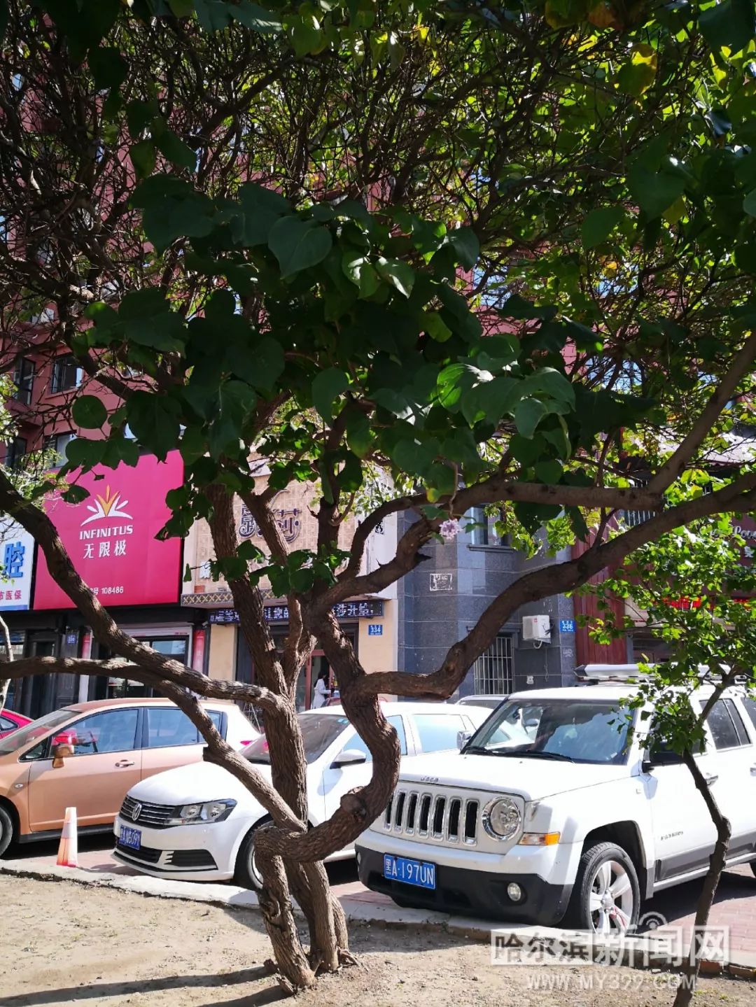 国产精品一区二区AV不卡 例如科技、精品抱歉海报