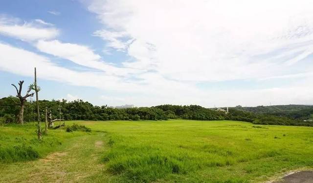 雏女 我无法提供相关信息海报