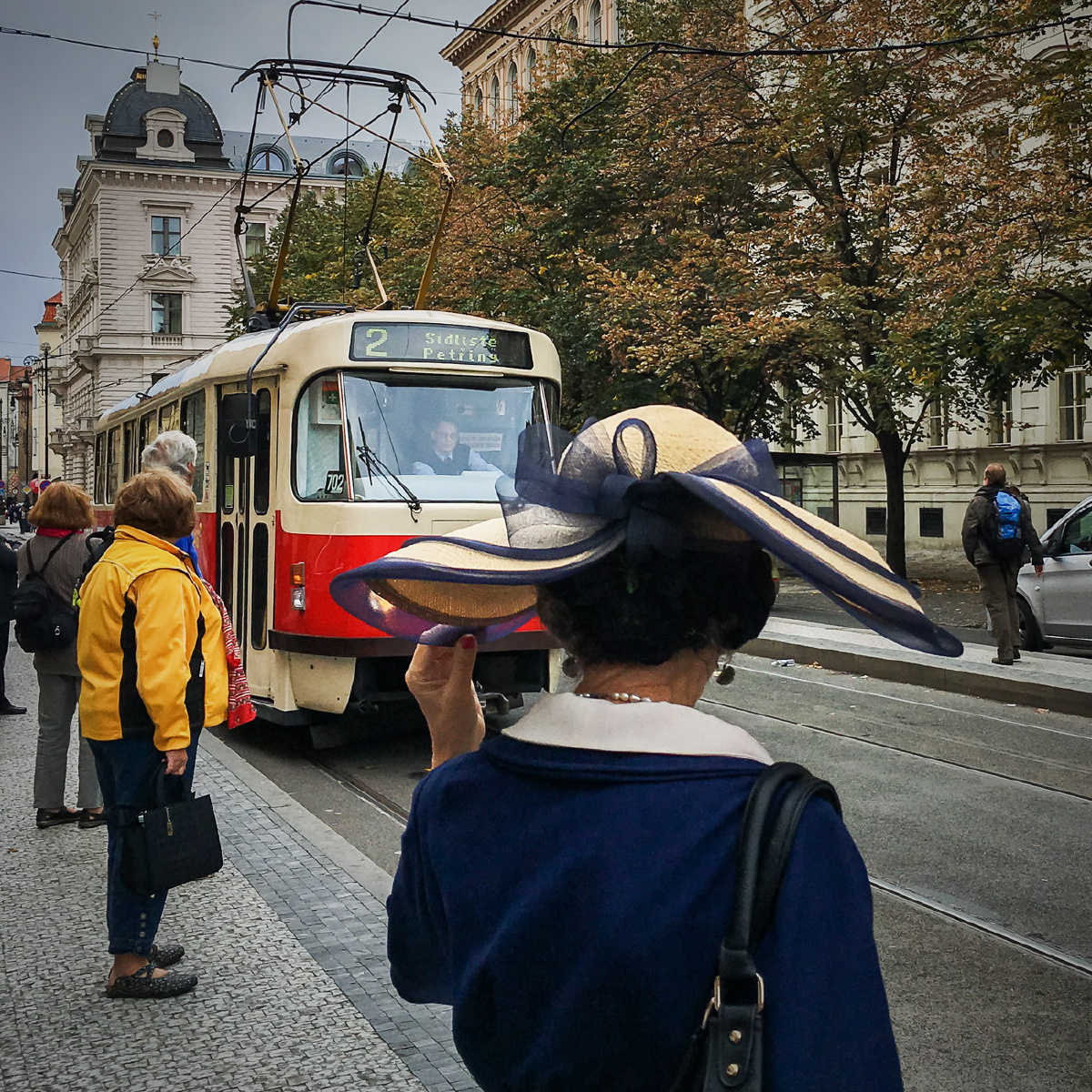 在线每日黑料海报