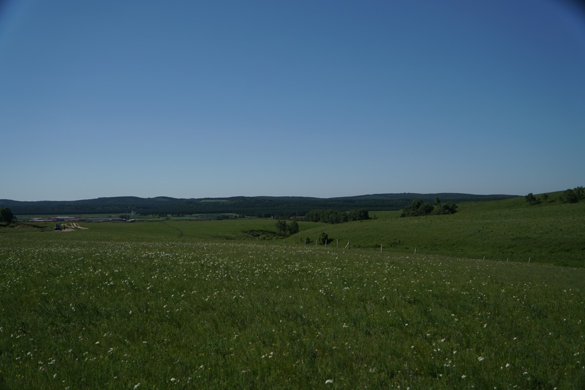 2021最新最全国产精品