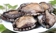 久久99国产亚洲精品观看