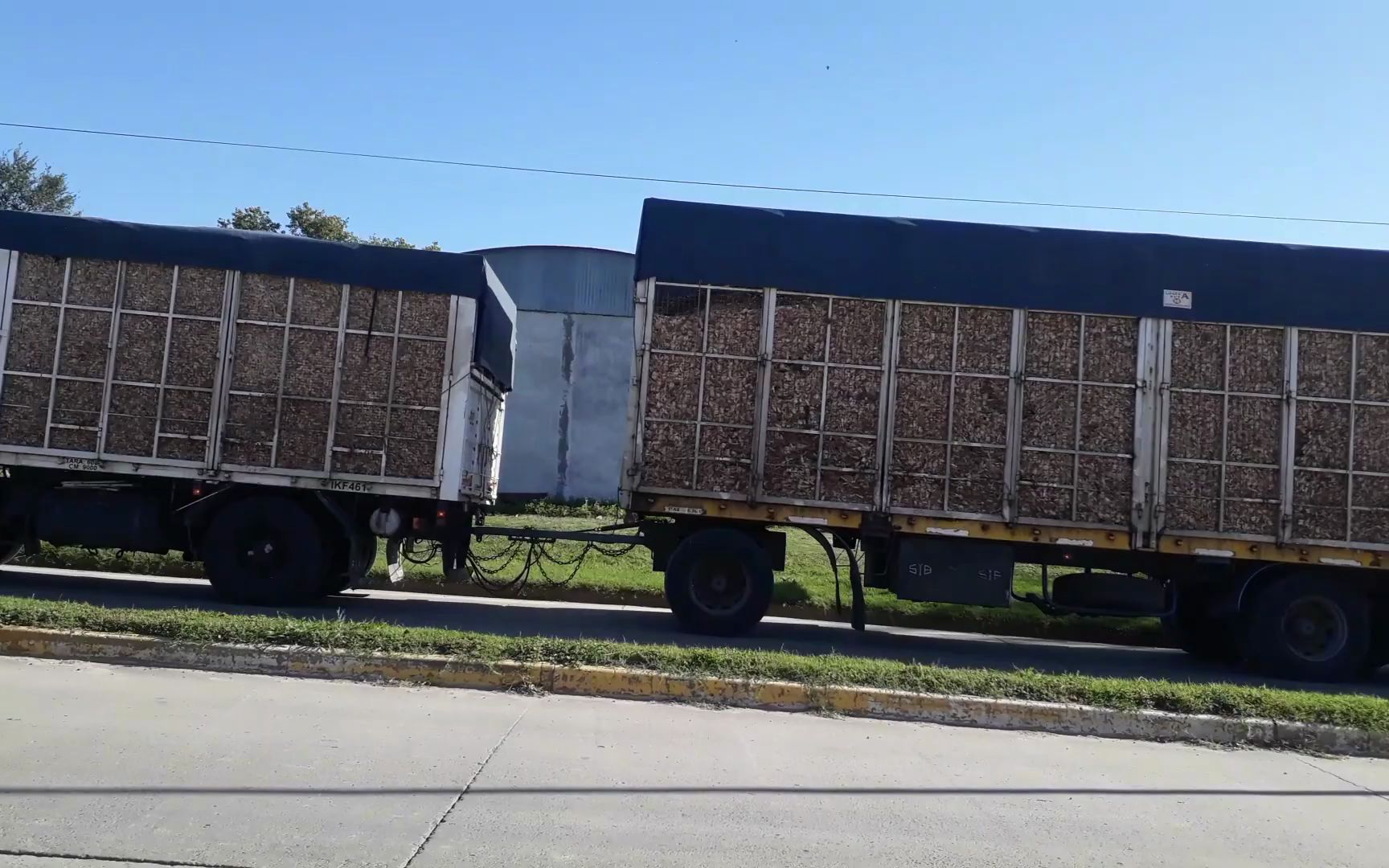 国产精品免费_区二区三区观看海报